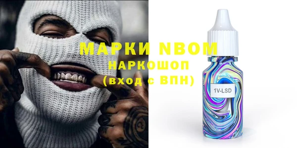 spice Гусев