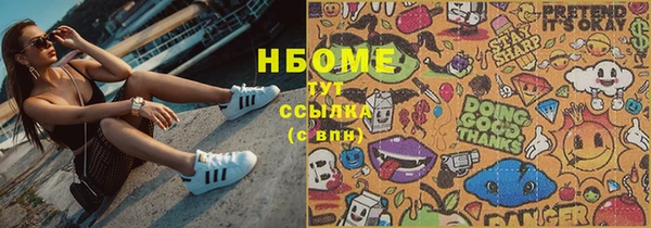 spice Гусев