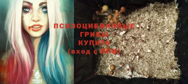 spice Дмитров