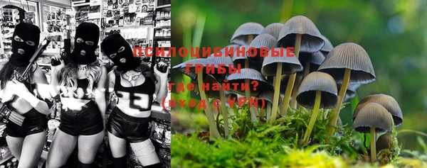 метадон Дмитриев