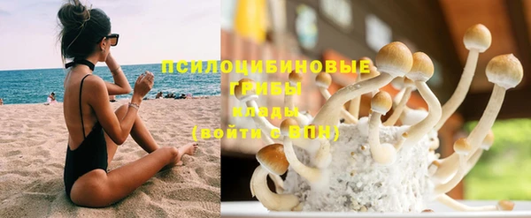 метадон Дмитриев
